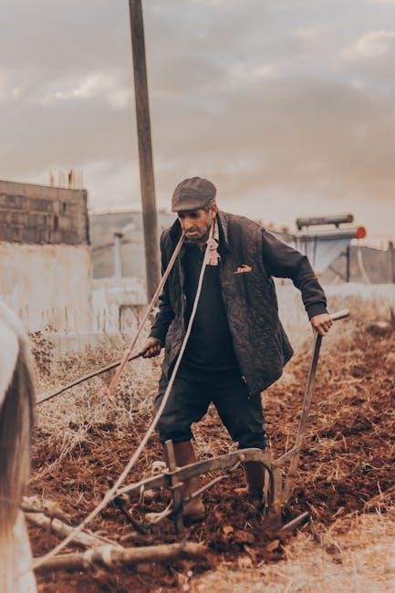 2016 chrysler town and country manual